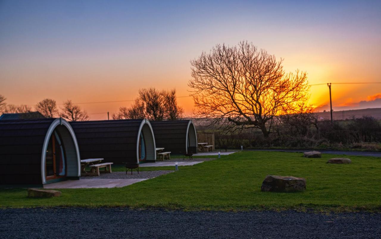 Causeway Country Pods Otel Bushmills Dış mekan fotoğraf