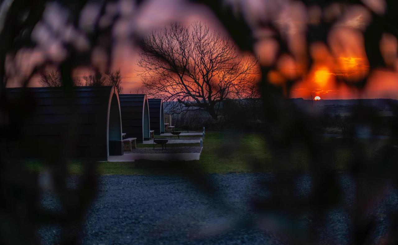Causeway Country Pods Otel Bushmills Dış mekan fotoğraf